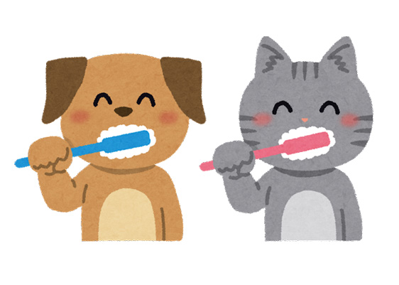 犬・猫の歯磨きの大切さ